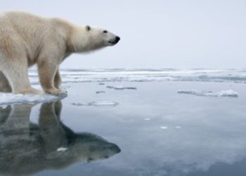 Quand le climat s’emballe, vos assurances santé trinquent