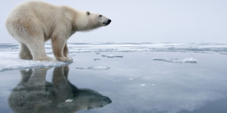 Quand le climat s’emballe, vos assurances santé trinquent