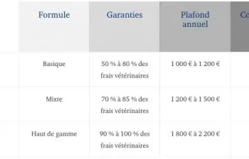 découvrez notre guide complet sur les mutuelles santé pour chien. protégez la santé de votre compagnon à quatre pattes avec des options adaptées à vos besoins. comparez les garanties, les prix et les services pour choisir la meilleure couverture santé pour votre animal et lui offrir la tranquillité d'esprit qu'il mérite.