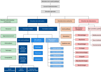 découvrez pourquoi la santé des dirigeants est un enjeu stratégique crucial pour la performance et la pérennité des entreprises, et comment la préserver efficacement.