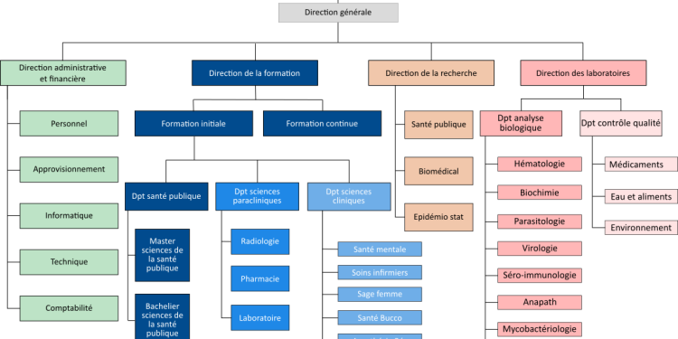 découvrez pourquoi la santé des dirigeants est un enjeu stratégique crucial pour la performance et la pérennité des entreprises, et comment la préserver efficacement.