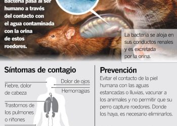 découvrez comment stéphanie rist se mobilise en première ligne face au hantavirus, ses actions et les mesures de prévention pour lutter contre ce virus.
