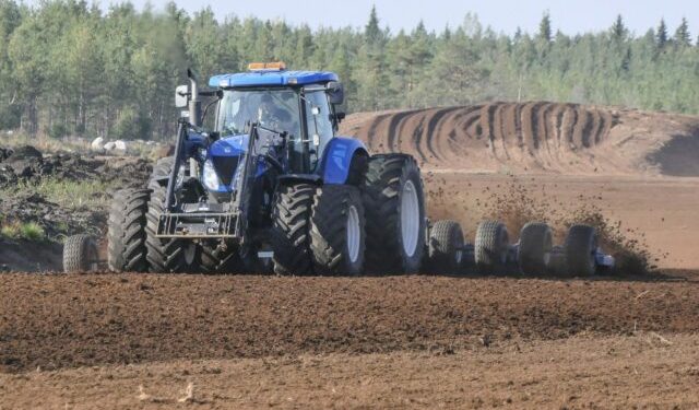 une louve capturée en normandie sera bientôt relâchée dans la nature, une étape importante pour la faune locale et la conservation de l'espèce.