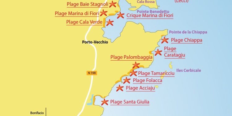 découvrez le spectacle intergénérationnel à villefranche, un événement unique à rulhe qui réunit toutes les générations autour de performances artistiques captivantes.