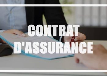 découvrez notre guide complet pour choisir la meilleure assurance santé pour votre chien et protéger sa santé au quotidien.